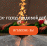 Za_golosuem.jpg - Киренский район