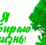 a394a490f400281c6ef5dd2b36b27774.jpg - Киренский район