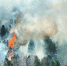 tyumen-zadyhaetsya-v-dymu-lesnyh-pozharov-1024x614.jpg - Киренский район