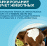 1.1.jpg - Киренский район