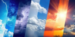i.jpg